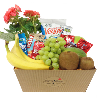 Health Nut Basket With A Plant Ashland Addison Florist Co