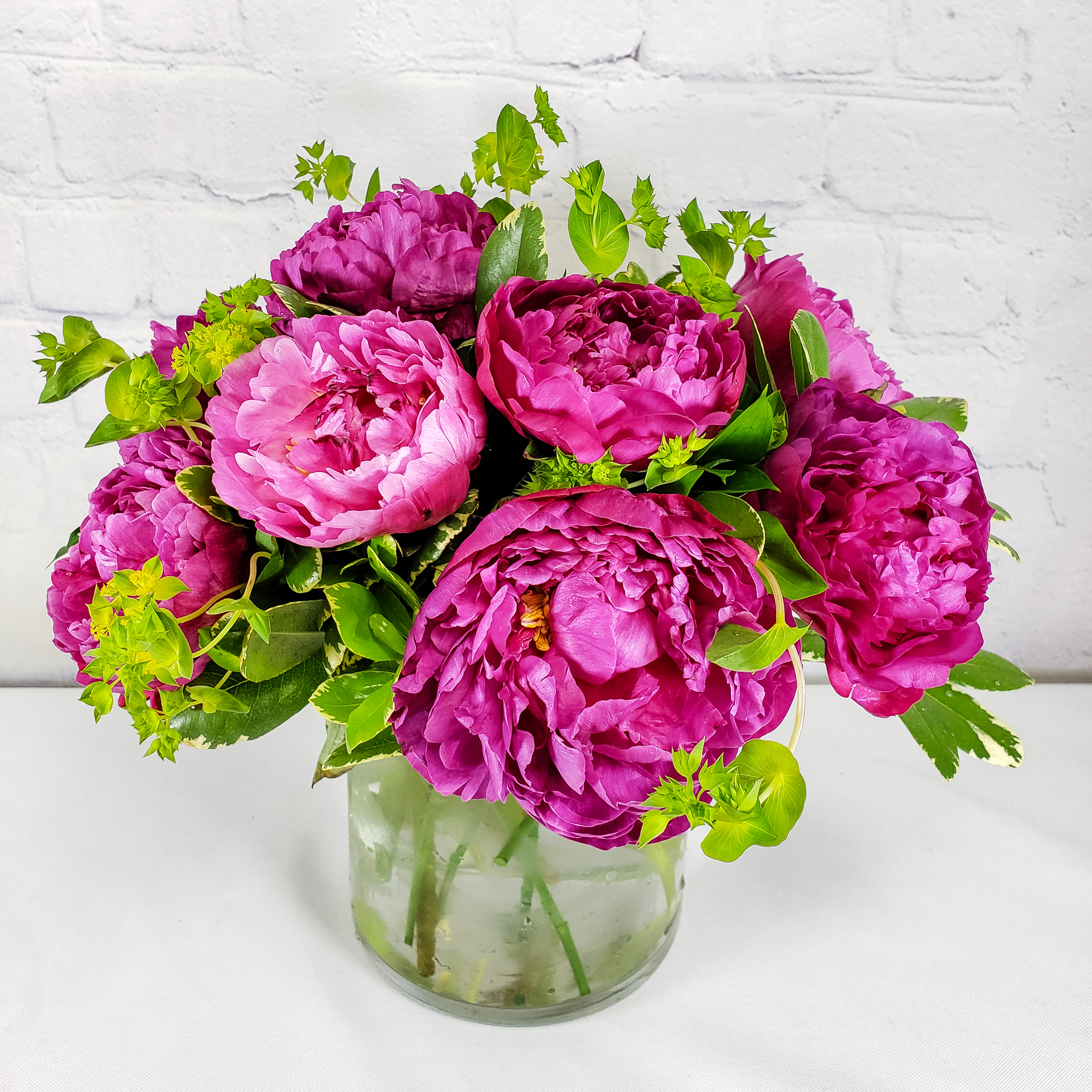 Pink Peony Bush by Ashland®