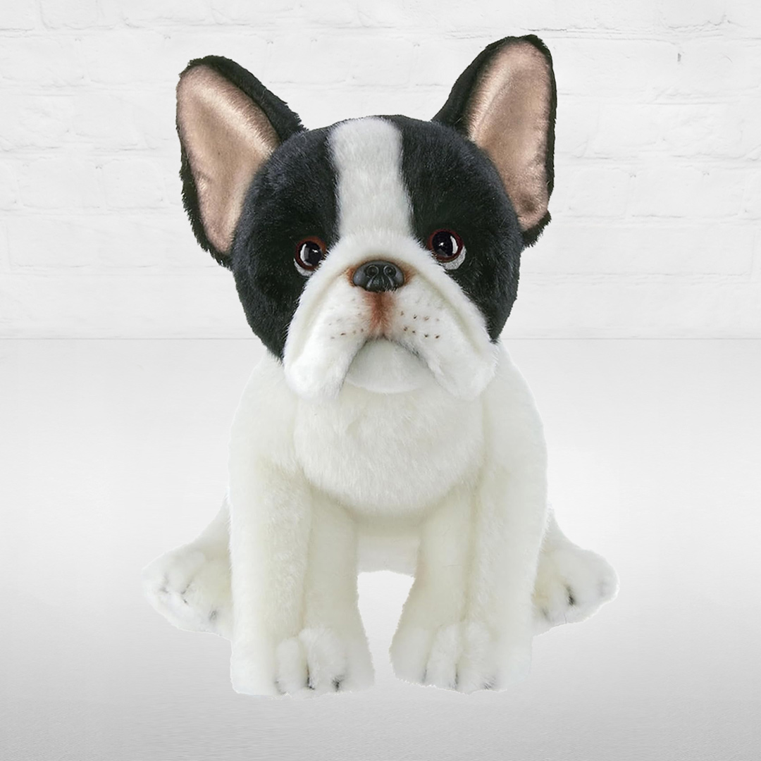 Oliver The French Bulldog Plush Ashland Addison Florist Co