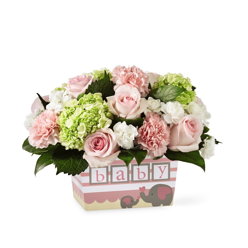 ftd sweet baby girl bouquet