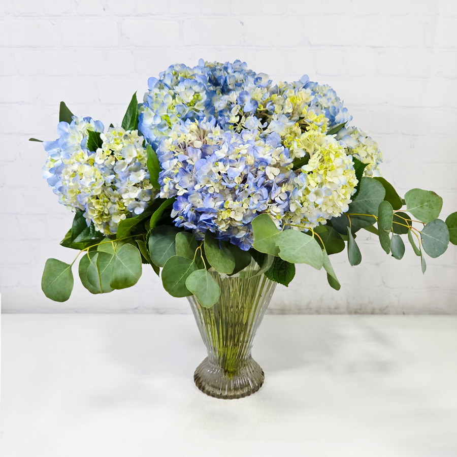 Skyline Hydrangea :: Ashland Addison Florist Co.