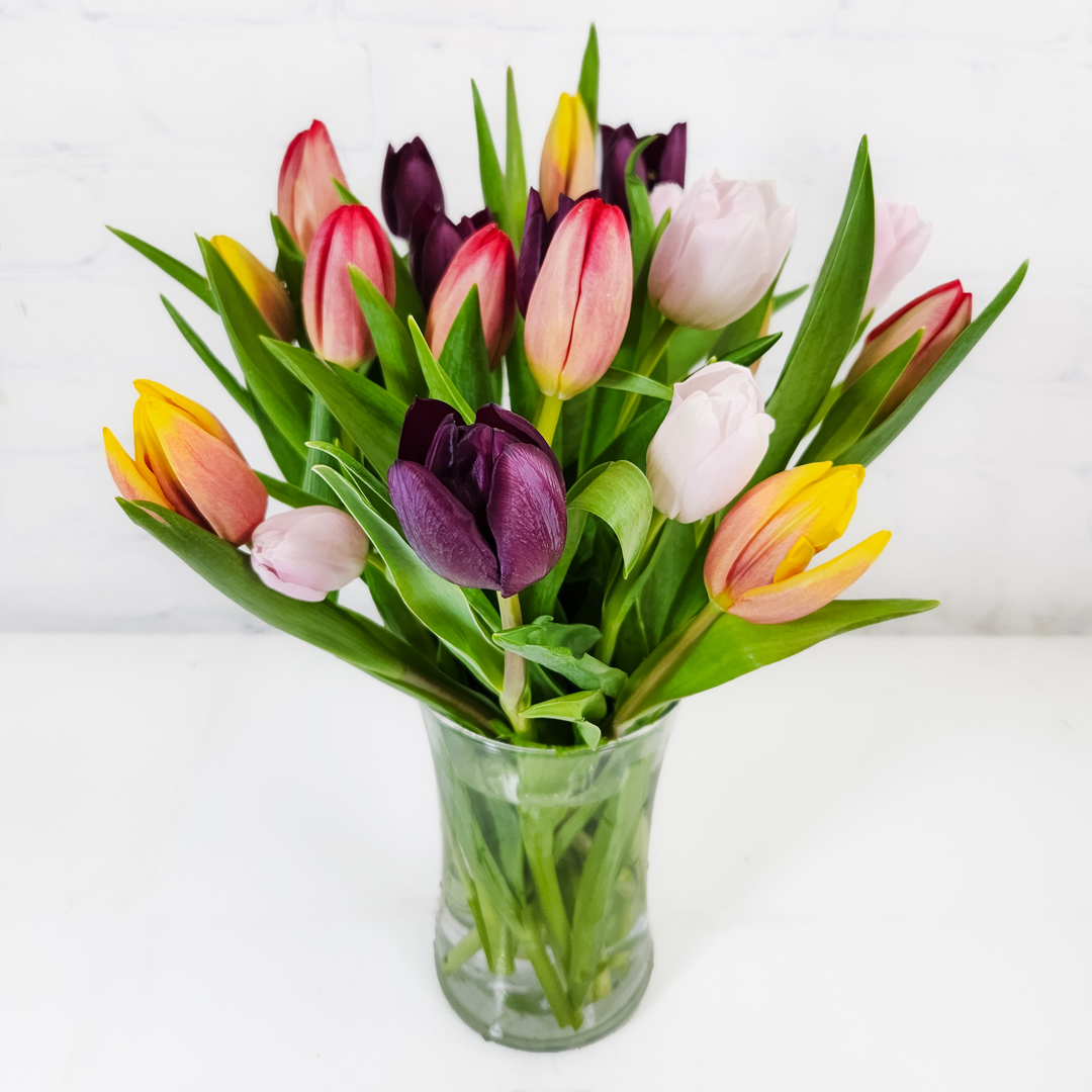 Tulip Weekly Special