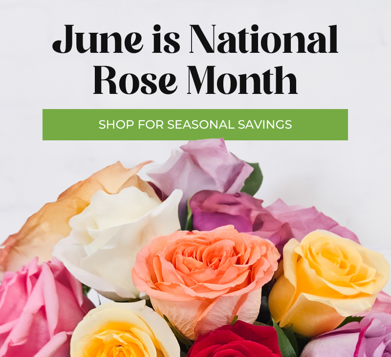 National Rose Month in Chicago