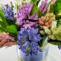 Hyacinth Medley