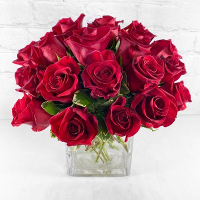Red Rose Bush by Ashland®