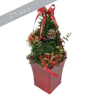 Traditional Boxwood Tree 18