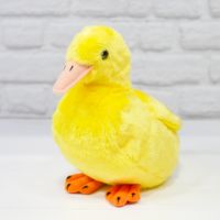 Dani the Duckling