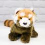 Raja the Red Panda