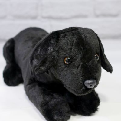 Blythe the Black Lab