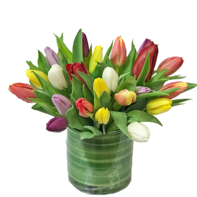 Assorted Tulips