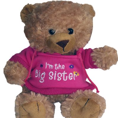 big sister teddy bear mothercare