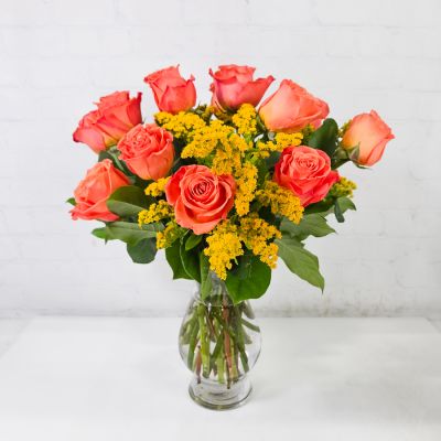 Orange Crush Roses