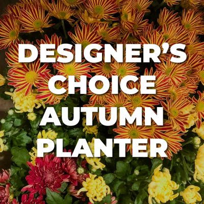 Designer's Choice Autumn Planter