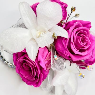 dark pink and white roses