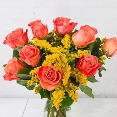 Orange Crush Roses