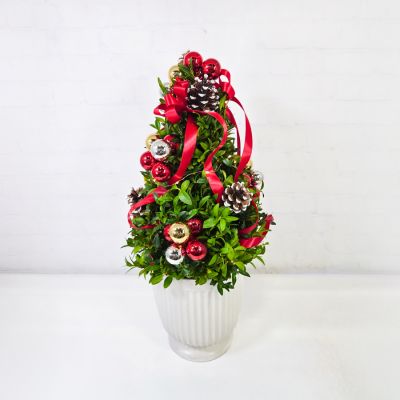 Christmas Memories Boxwood